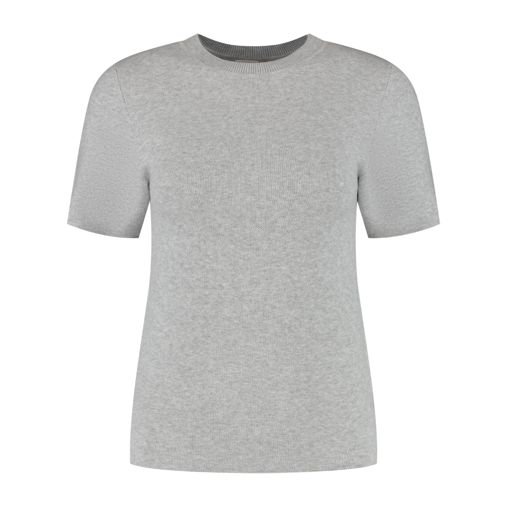 OLLY regular shortsleeve tee - Grey Melange