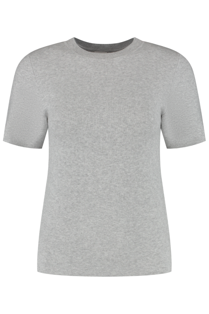 Olly Regular Short Sleeve Tee - Grey Melange